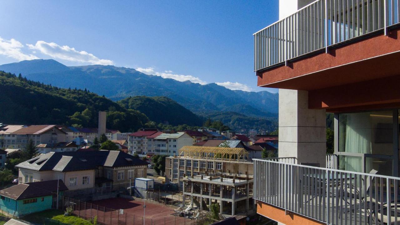 View * Sinaia