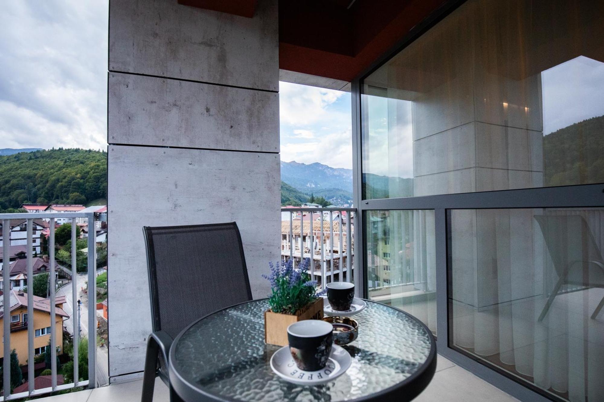 View Apartment Sinaia