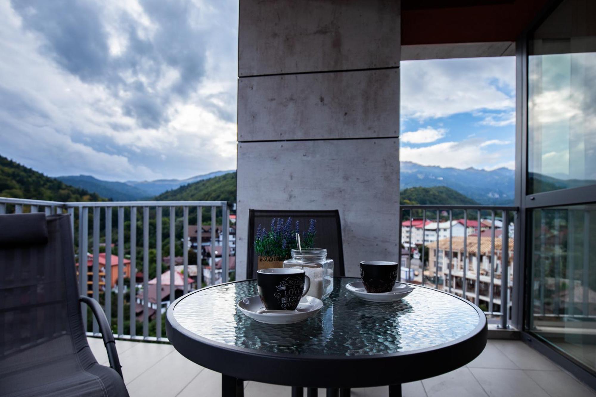 View Apartment Sinaia